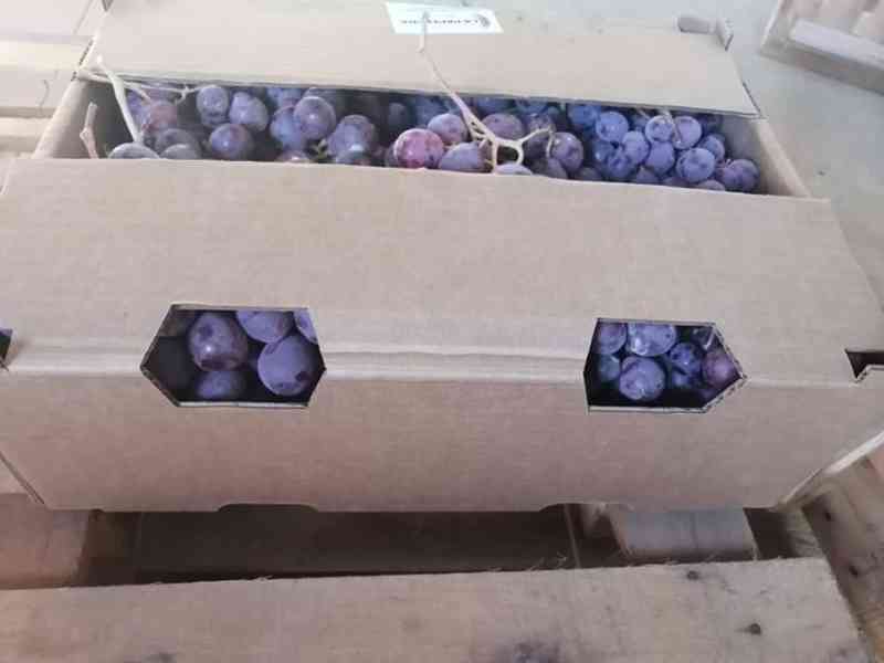 Trámites y requisitos frenan la exportación de uva tarijeña