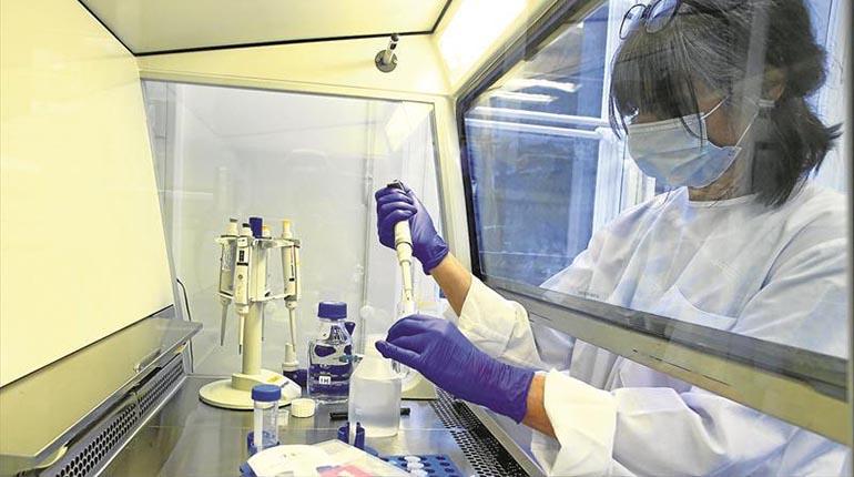 Israel desarrolla más anticuerpos que neutralizan el coronavirus 