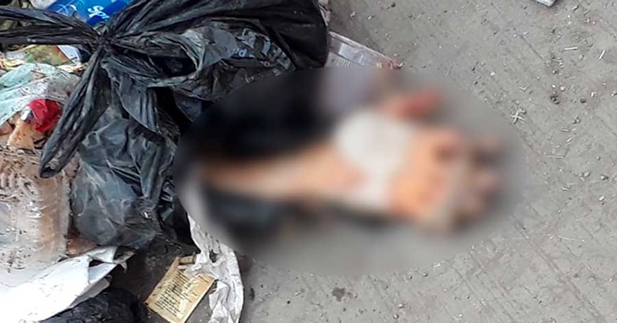 Hallan un brazo mutilado en un basural en Quillacollo