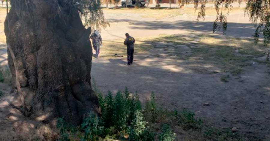 Vecinos hallan una pierna humana en Quillacollo 