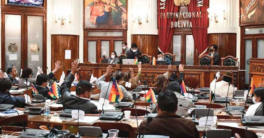 MAS aprueba amnistía para 