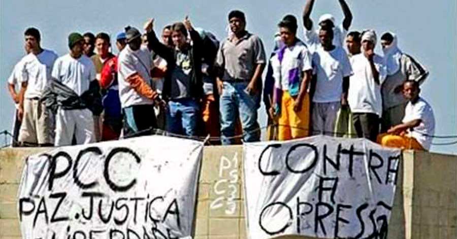 El PCC compró tierras en el país para producir cocaína