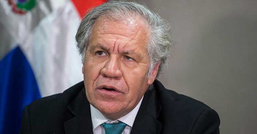 Almagro responde a Evo: Él sabe que la auditoría refleja la verdad y es contundente 