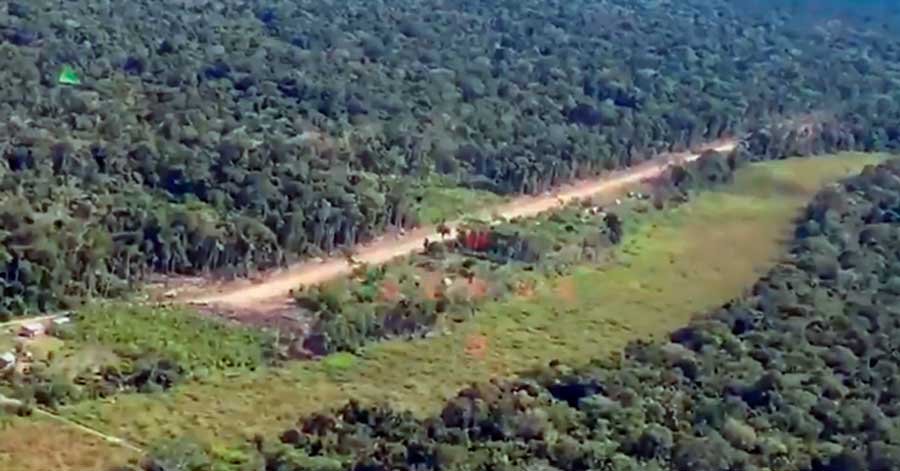 Felcn intervine una pista clandestina en el Chapare y detiene a una persona
