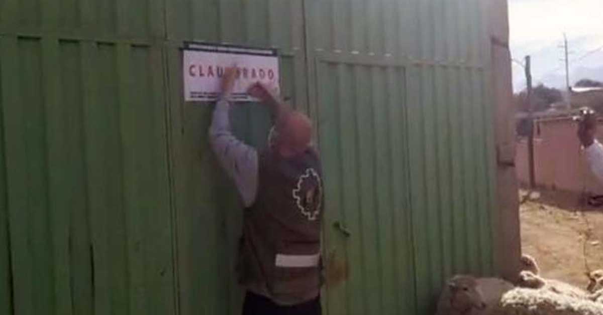 Clausuran Matadero clandestino en la ciudad de Tarija