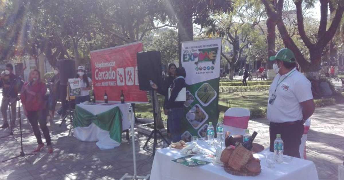 Inauguran la feria virtual 