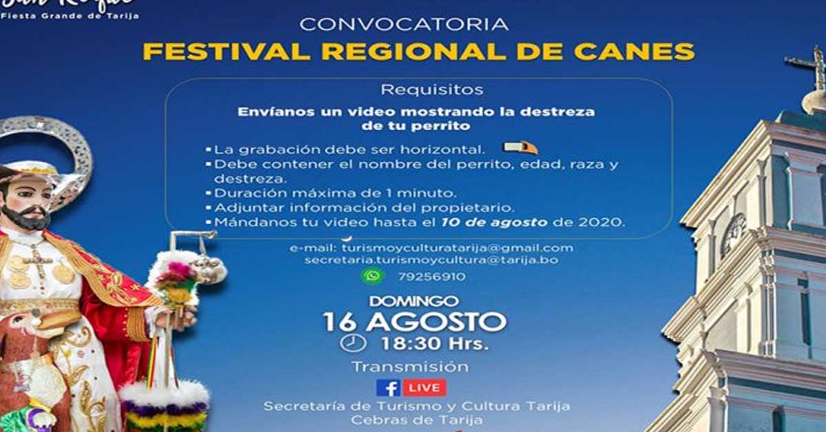 Alcaldía lanza concurso de canes mediante la grabación de un video
