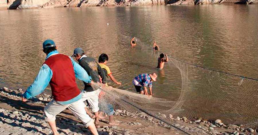 Gobernación de Tarija dicta veda a la pesca comercial de sábalo en río Pilcomayo