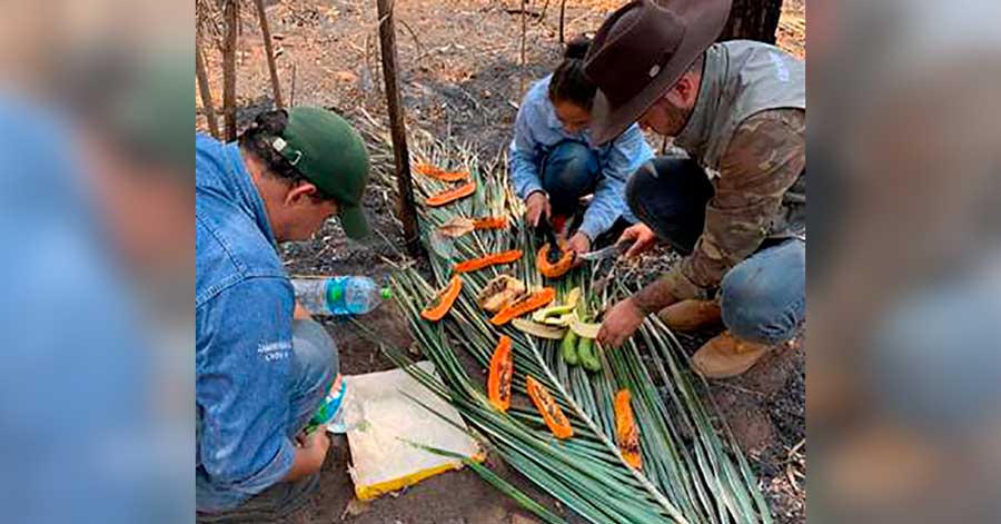 Instalan bebederos para animales que lograron huir del fuego
