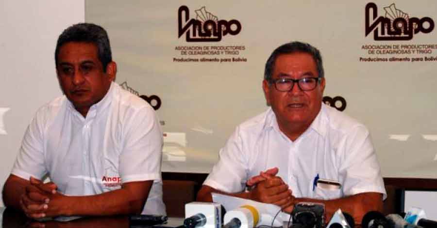 Anapo rechaza anuncio del Gobierno de suspensión de exportaciones de soya 