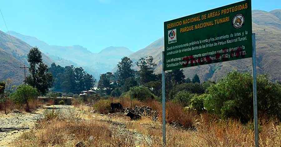 Viceministro dice que unas 83 mil familias invadieron y viven en la reserva del Parque Nacional Tunari