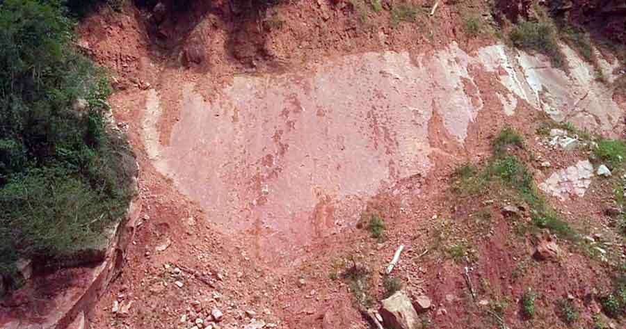 Lanzan campaña de recaudación para la preservación de huellas de dinosaurios en Entre Ríos