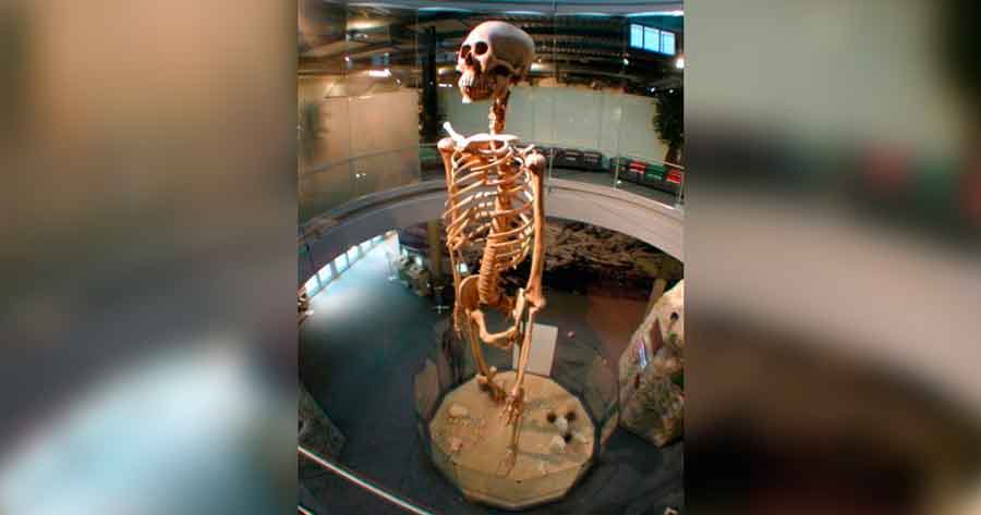 Los restos desenterrados en un pueblo de Ecuador que habrían pertenecido a gigantes de 7 metros