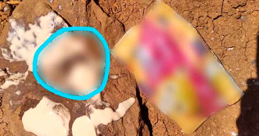 Cochabamba: Investigan presencia de un roedor en un lácteo del desayuno escolar 