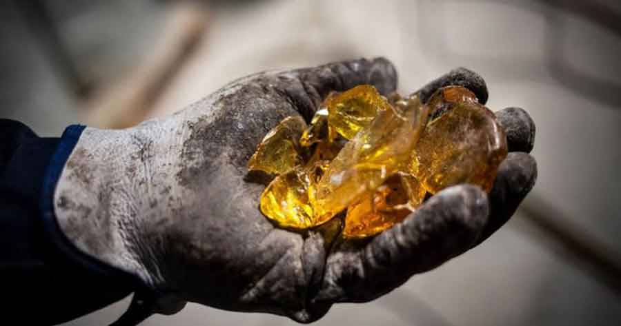 Qué es el “oro líquido” que se esconde en los bosques de España