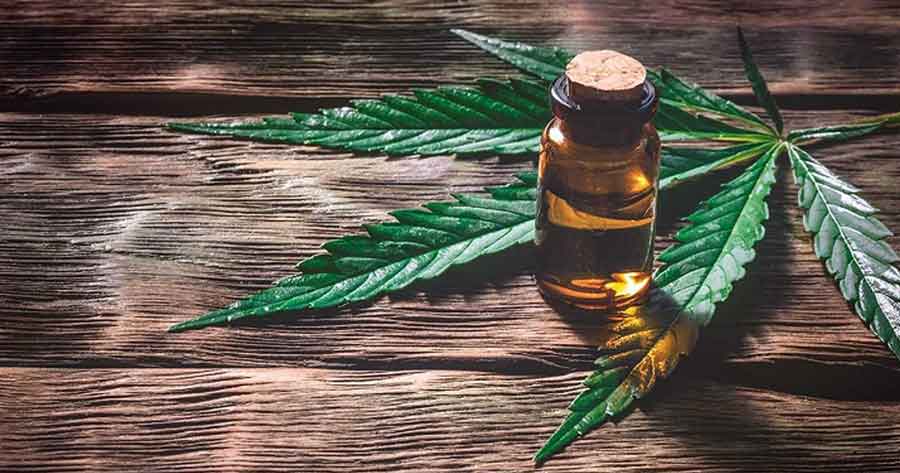 Autorizan uso de cannabis medicinal de manera excepcional para tratamiento de una niña