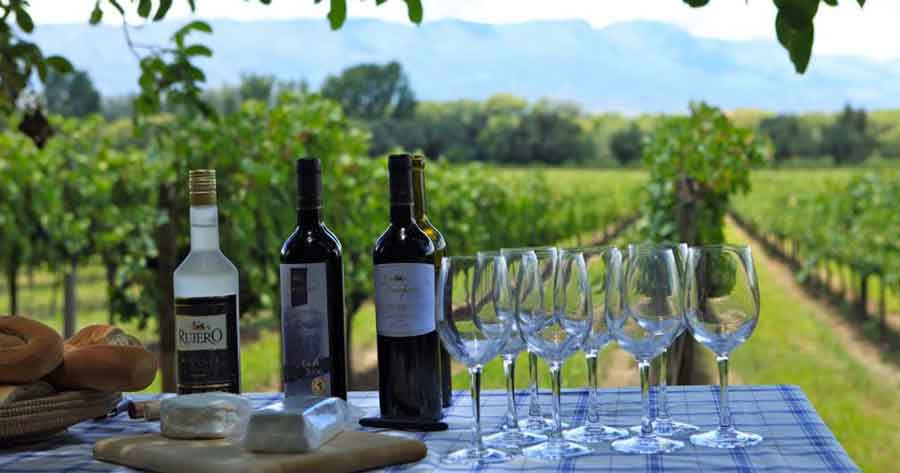 La UE aprueba certificación que permite el ingreso de vinos bolivianos al mercado europeo