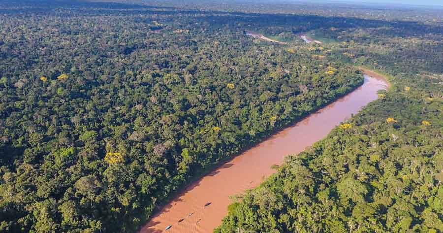 Más de 60 instituciones urgen a salvar el Madidi y anular concesiones mineras peligrosas
