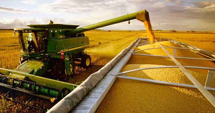 Productores agrícolas claman por avance tecnológico: Bolivia arrastra un rezago de dos décadas en biotecnología
