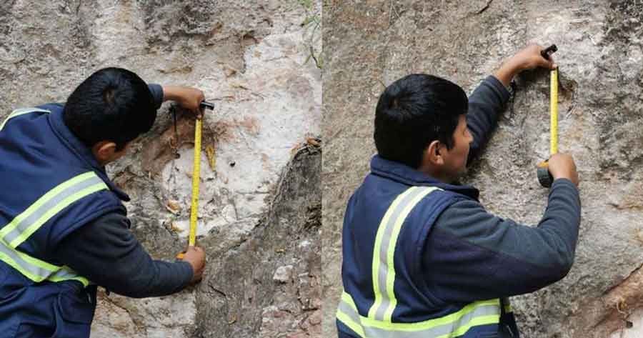 Descubren más huellas de dinosaurios en municipio de Entre Ríos