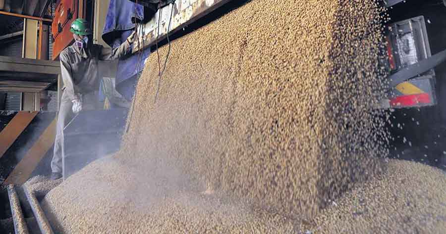 Productos no tradicionales desplazan a hidrocarburos y casi triplican en valor al gas