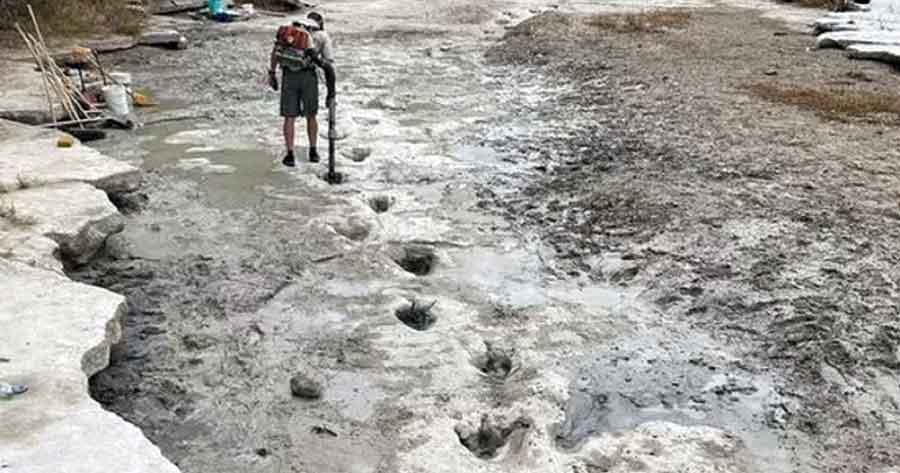 El asombroso hallazgo de las huellas de un dinosaurio que quedaron expuestas por la sequía en Estados Unidos