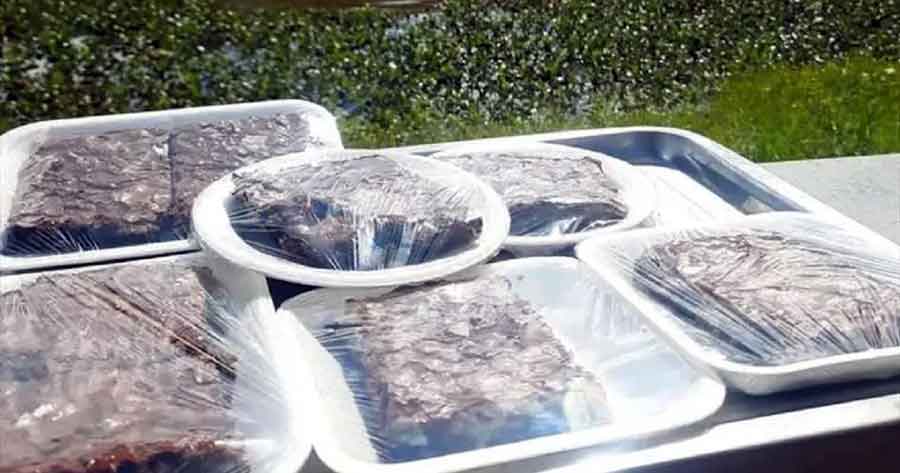 Joven confiesa que vendía brownies con marihuana porque necesitaba dinero para ir al concierto de Daddy Yankee
