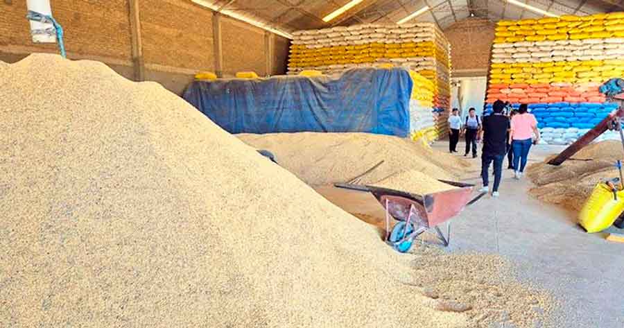 Fiscalía interviene cinco ingenios y confisca arroz por 